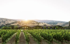 vineyards in front of a winery with sunset behind