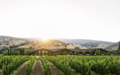 Best of: Napa Valley’s Family-Owned Wineries