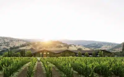 Best of: Napa Valley’s Family-Owned Wineries