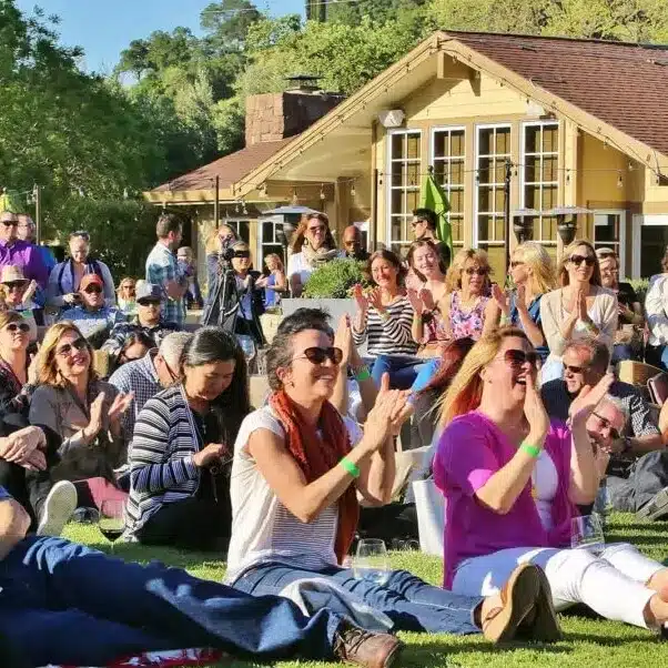 people sitting on grass enjoying concert and clapping