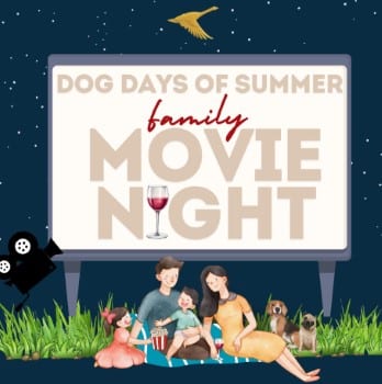 movies in the park