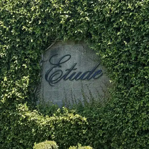 wall sign for etude