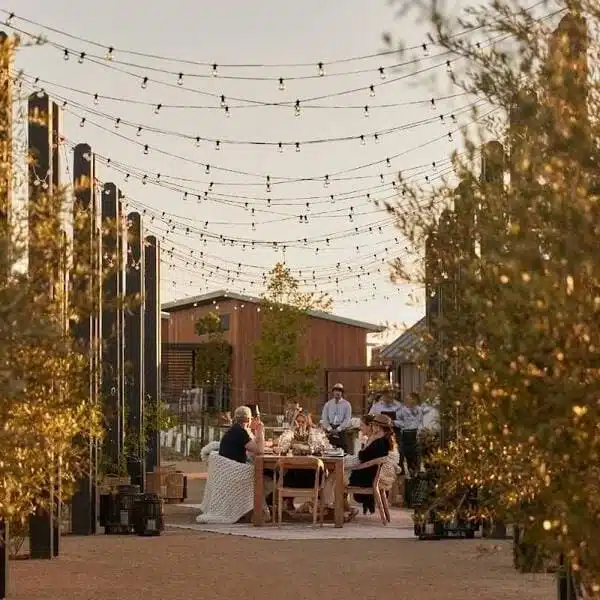 guy inspecting wine in wine glass outside<br />
