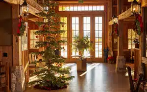 christmas tree indoors