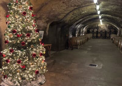 Beringer 2