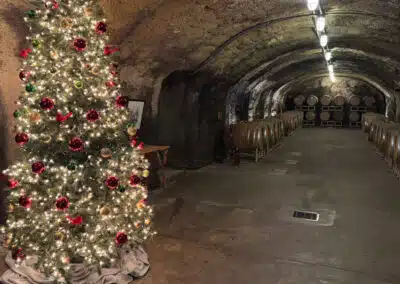 Beringer 2