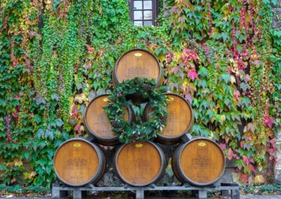 Chateau Montelena4