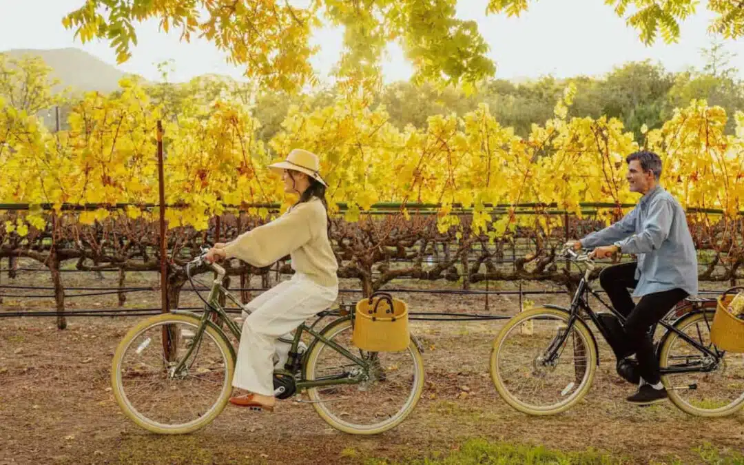 Fall in Love with Yountville: Cozy Vibes, Scenic Trails & Napa Valley Charm