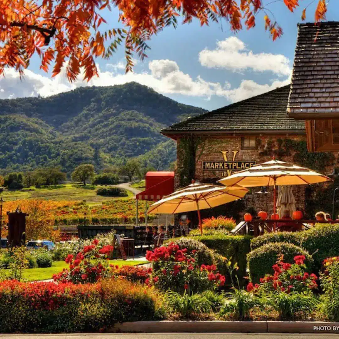 Fall-in-Love-with-Yountville-image-1 yountville in the Fall