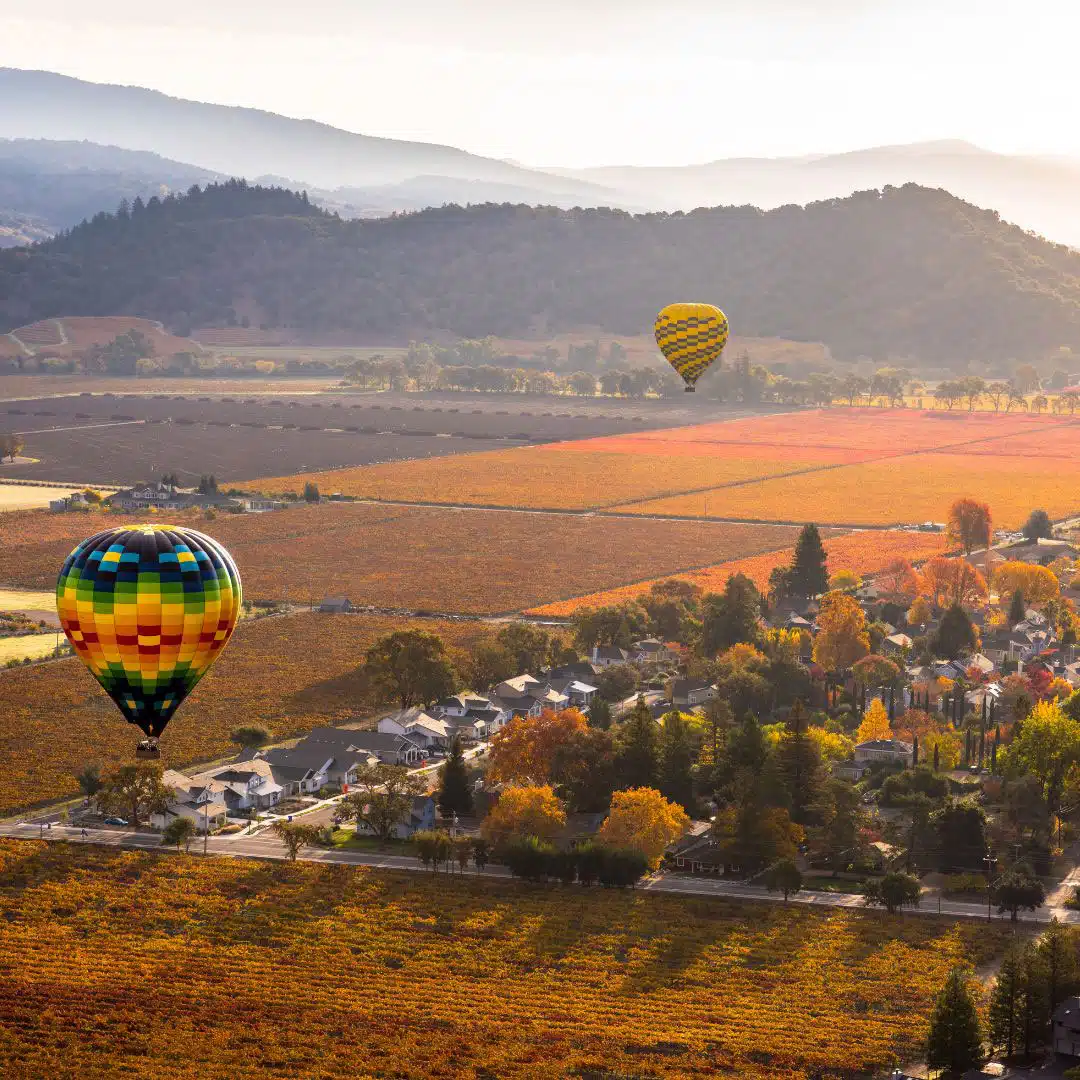 hot air balloon over napa valley in Fall time