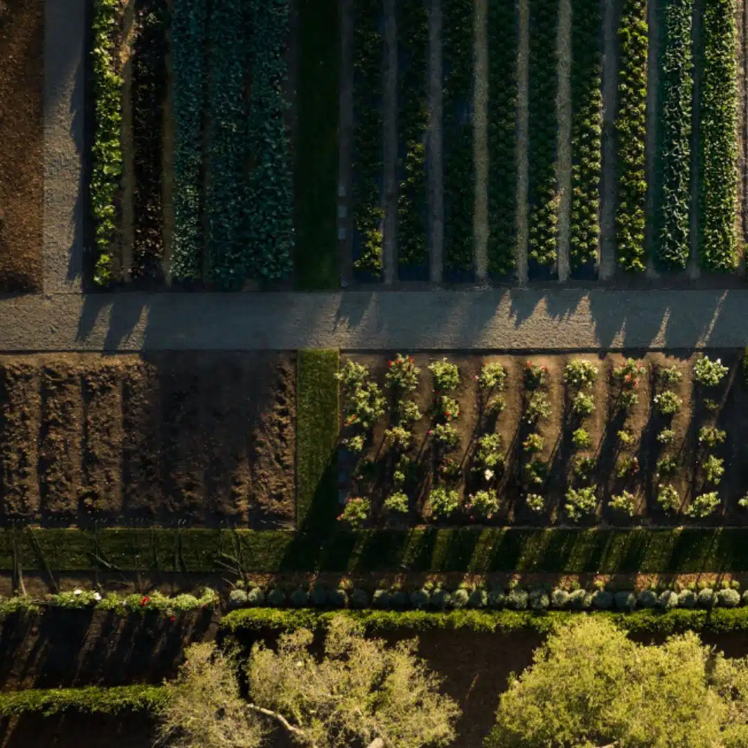 drone shot of garden at the French Laundry