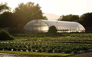 French laundry culinary tour