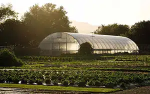 French laundry culinary tour