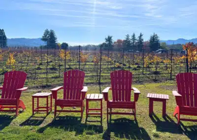 Goosecross Cellars3