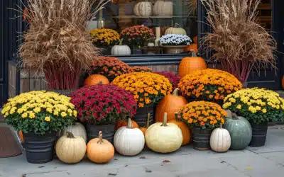 Halloween in Yountville: Block Party  + Where to Sip After the Festivities