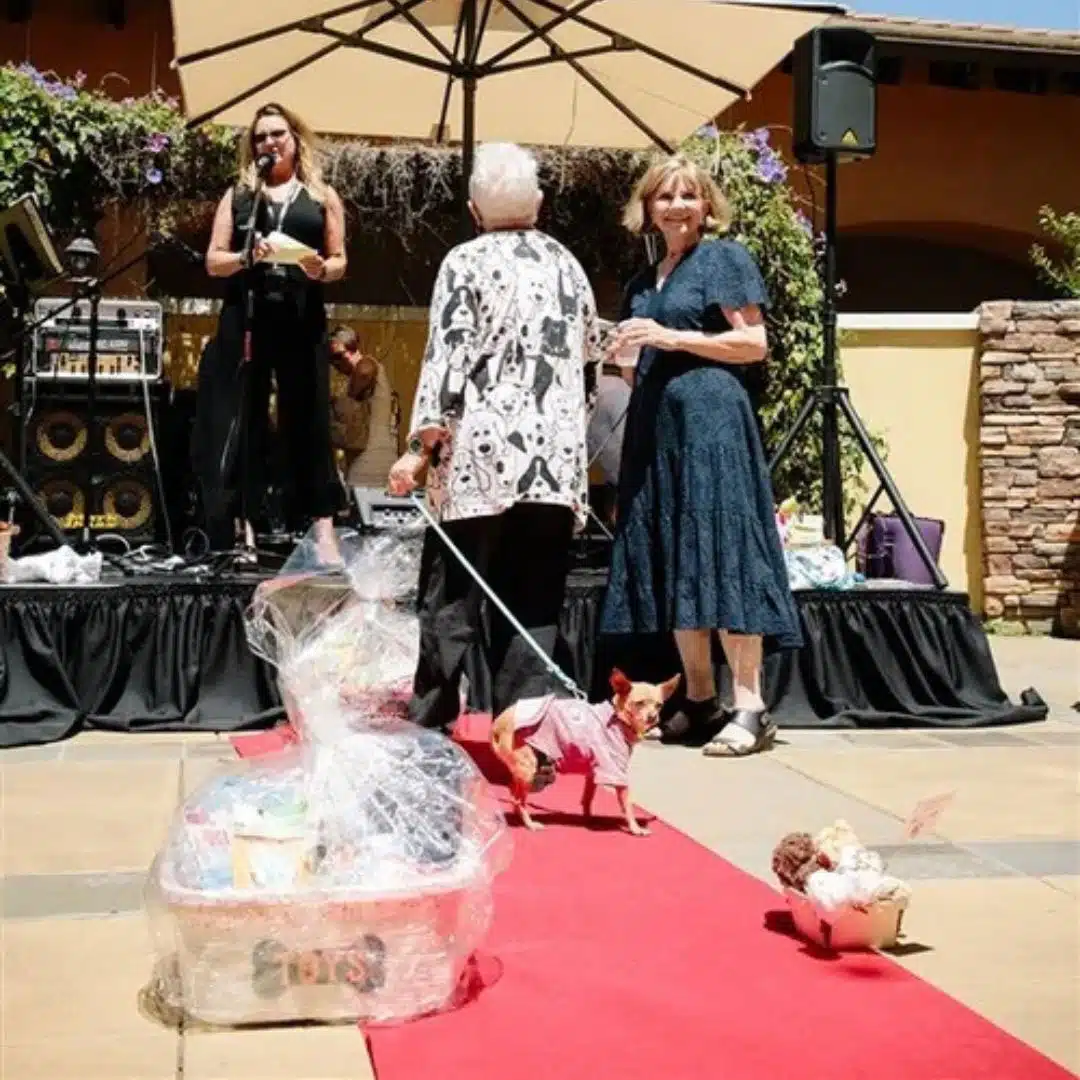 wine tasting with a dog on leash