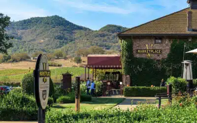 How to Do Napa Valley & Yountville Affordably