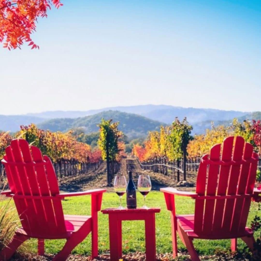 two chairs with a view of vineyards
