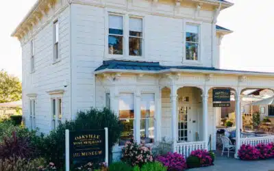 Discover the Heart of Napa Valley at The Oakville Wine Merchant: A One-Stop Wine Experience