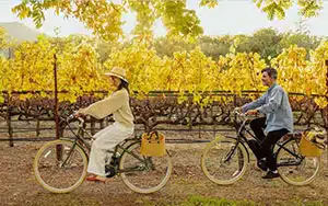 riding bikes during Fall in Yountville