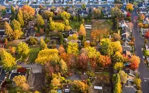 birds eye view of fall trees and buildings