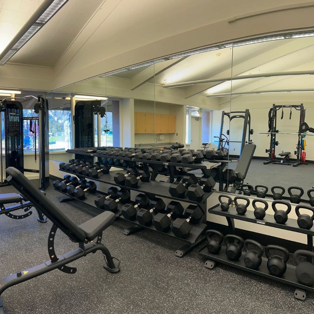 HIY Photo Temp - 12 Days Page (10) Baldacci Vineyards