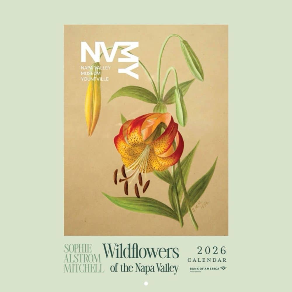 HIY Photo Temp - 12 Days Page (8) Baldacci Vineyards