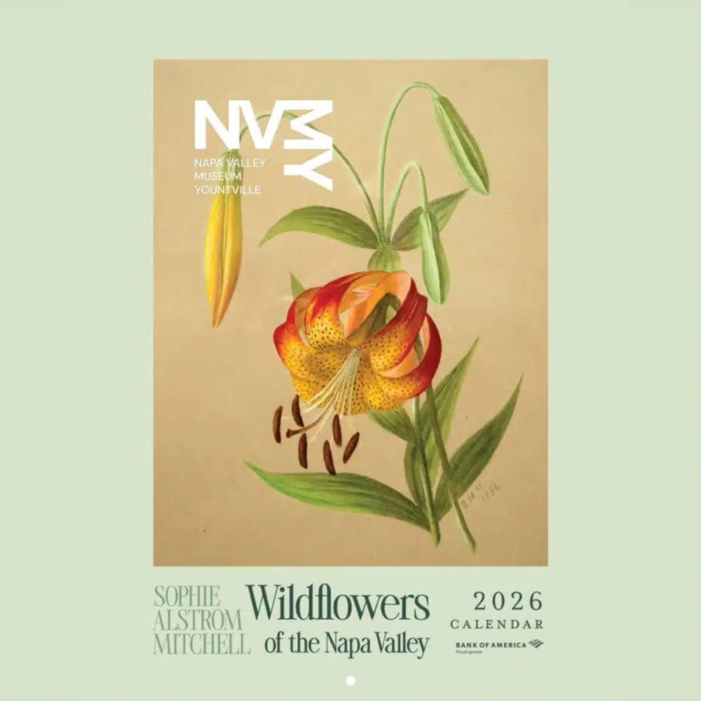 HIY Photo Temp - 12 Days Page (8) Baldacci Vineyards