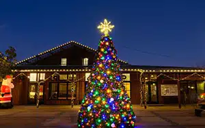 holiday's in Yountville, tree lighting ceremony
