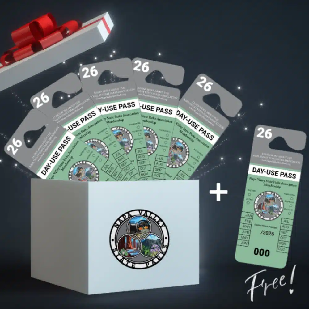 HIY Photo Temp - 12 Days Page (2) Cliff Lede Wooden tables and chairs on patio