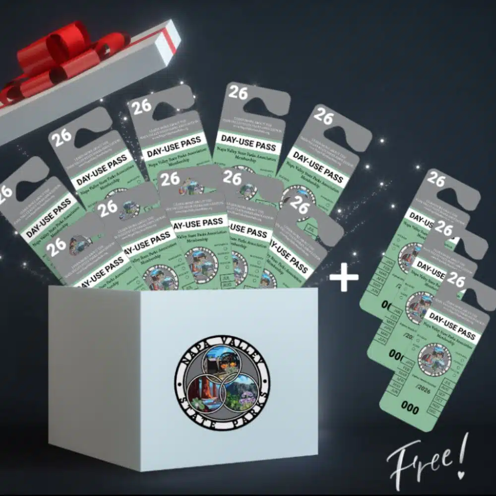 HIY Photo Temp - 12 Days Page (3) Cliff Lede Wooden tables and chairs on patio