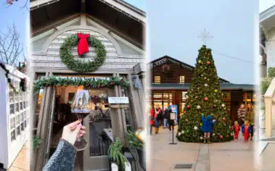 Experience the Holiday Magic in Yountville: A Festive Guide to Lights, Décor & Wine Country Cheer