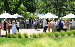 taste of yountville event