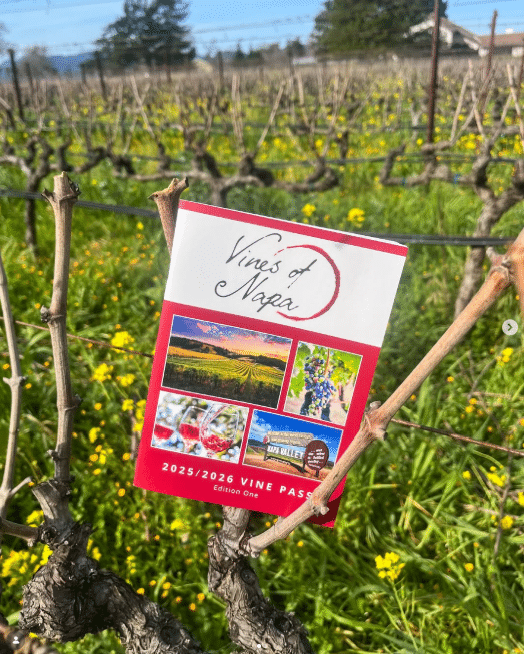 Vines of Napa