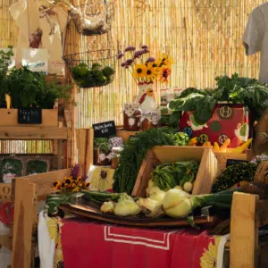 The Coop by Hoopes Stand