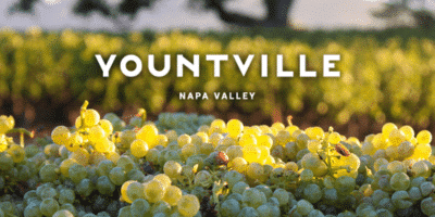 Yountville Wine History: From First Vines to Harvest Today