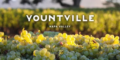 Yountville Wine History: From First Vines to Harvest Today