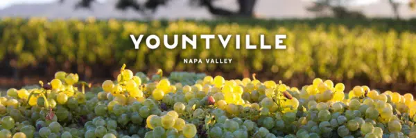 Yountville Wine History: From First Vines to Harvest Today