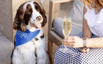 What to Do in Yountville with a Dog: A Weekend Guide
